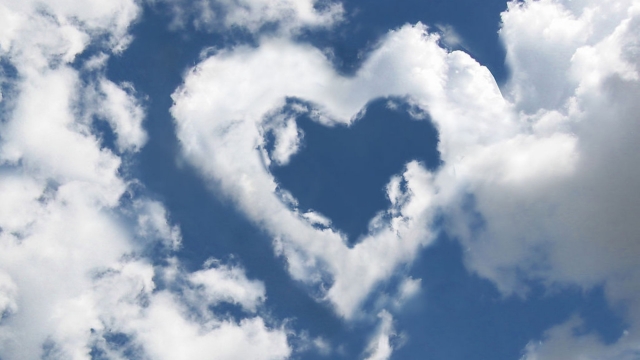 K1公司：乒乓球台内挡叫什么