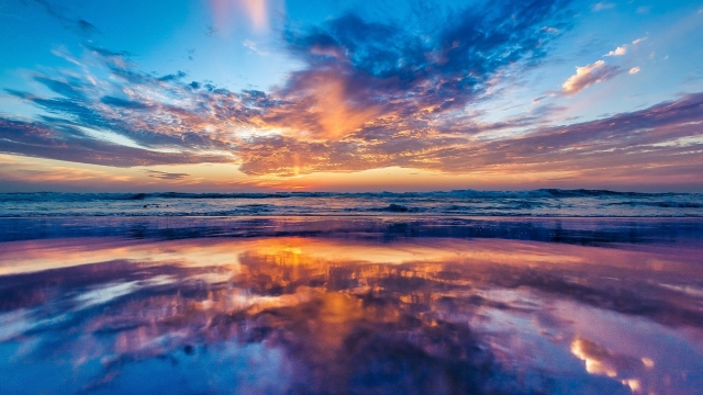 K1公司：室内全身徒手健身